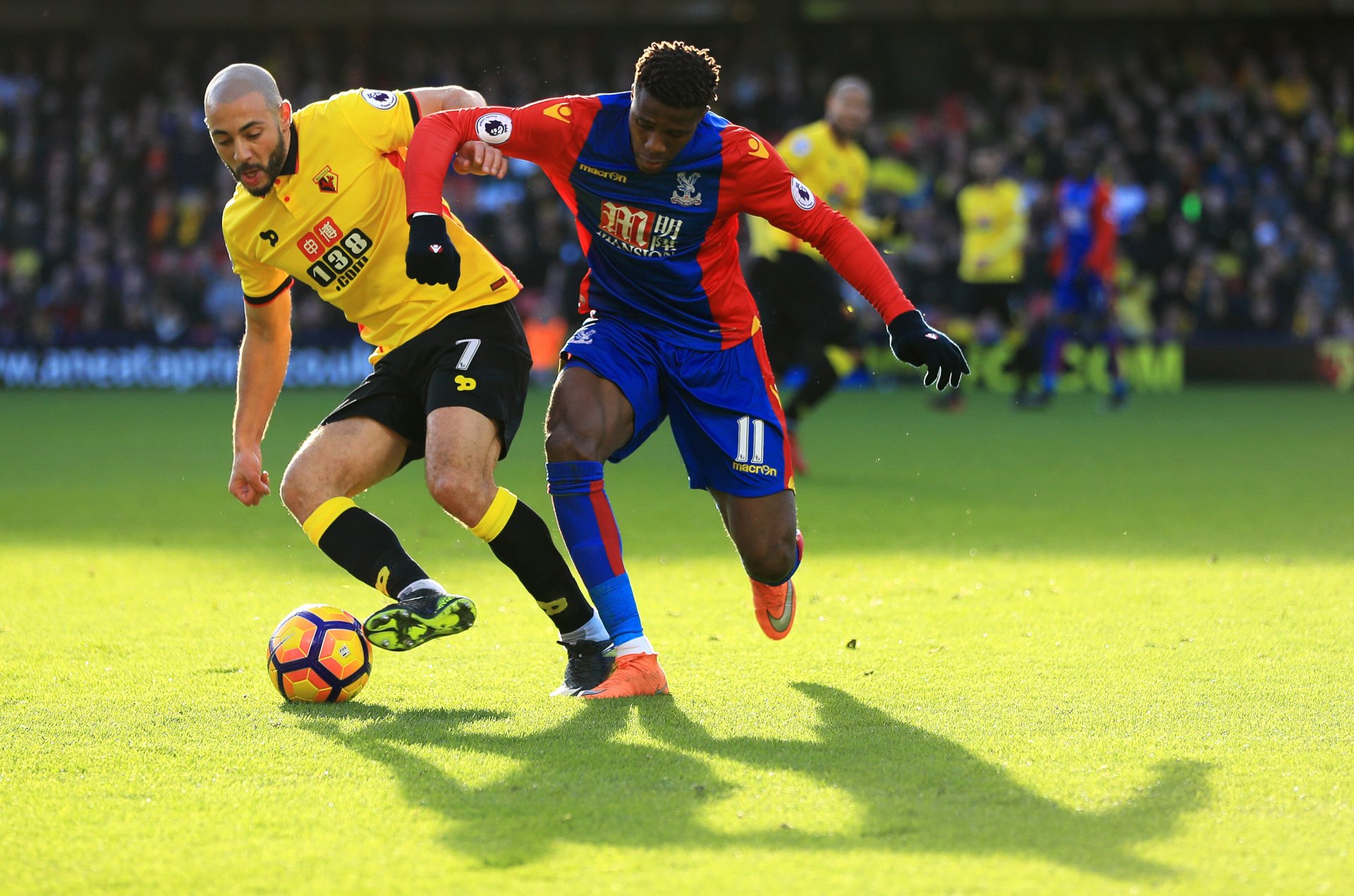 注定精彩纷 注定精彩纷