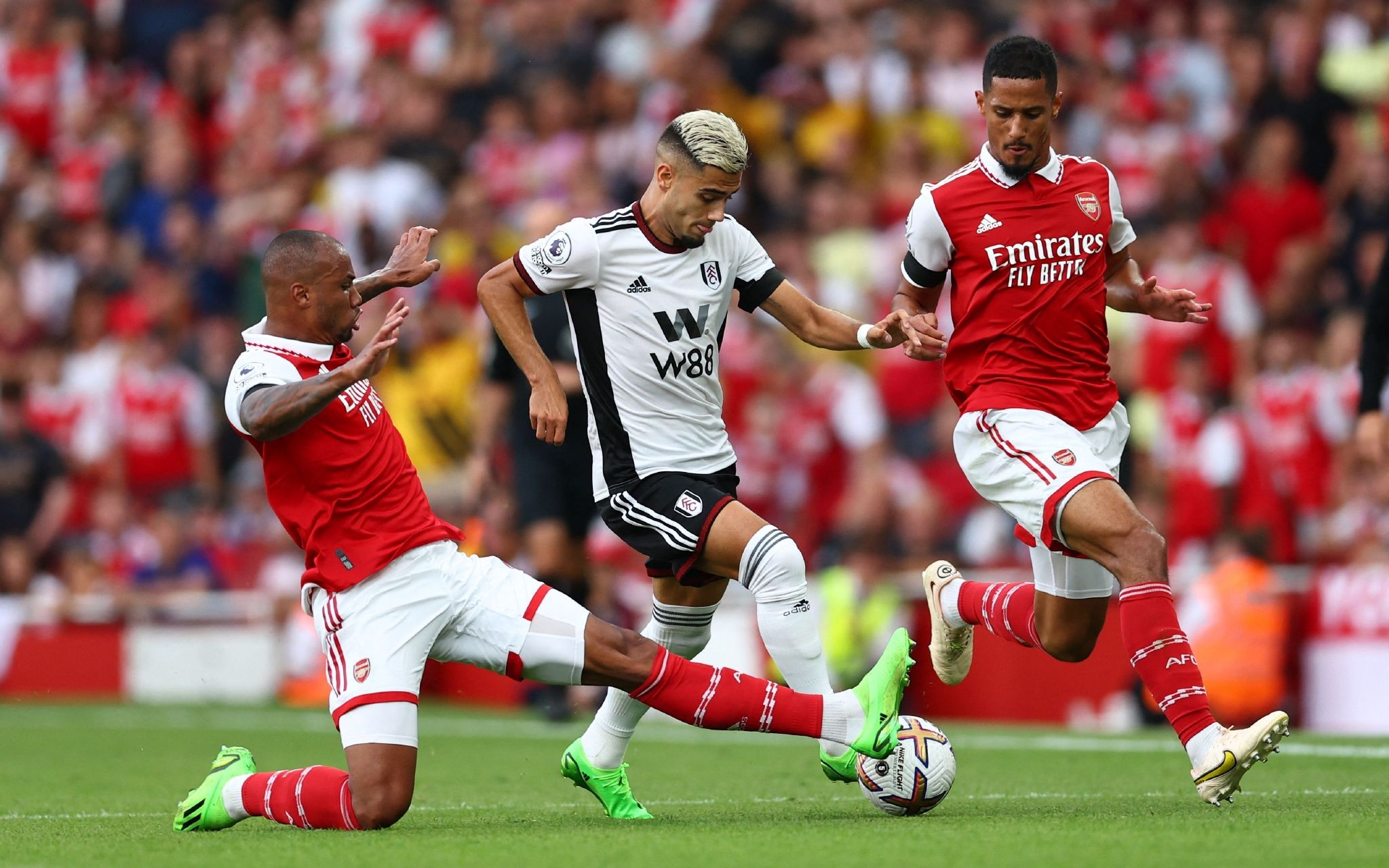 的历史长河 的历史长河